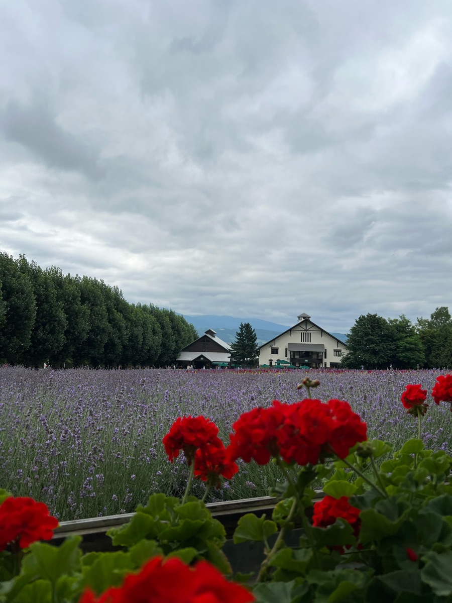富田農場 | 去趣 chicTrip