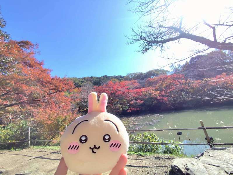 御船山樂園 | 去趣 chicTrip