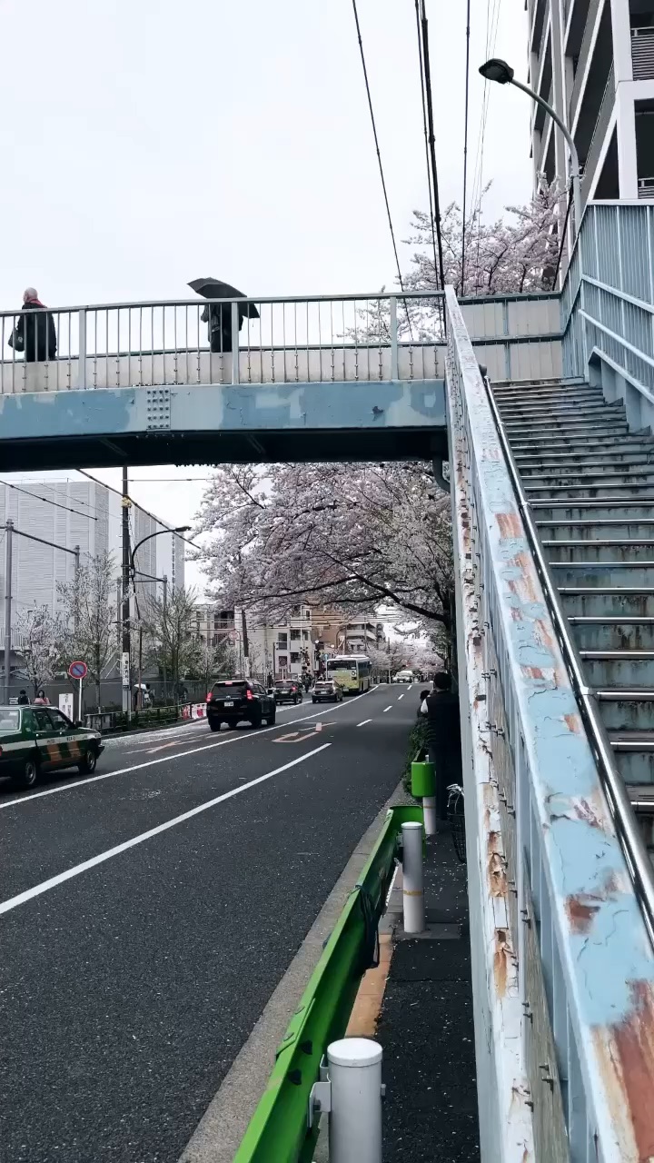 Arai Gochome Hodo Bridge | 去趣 chicTrip