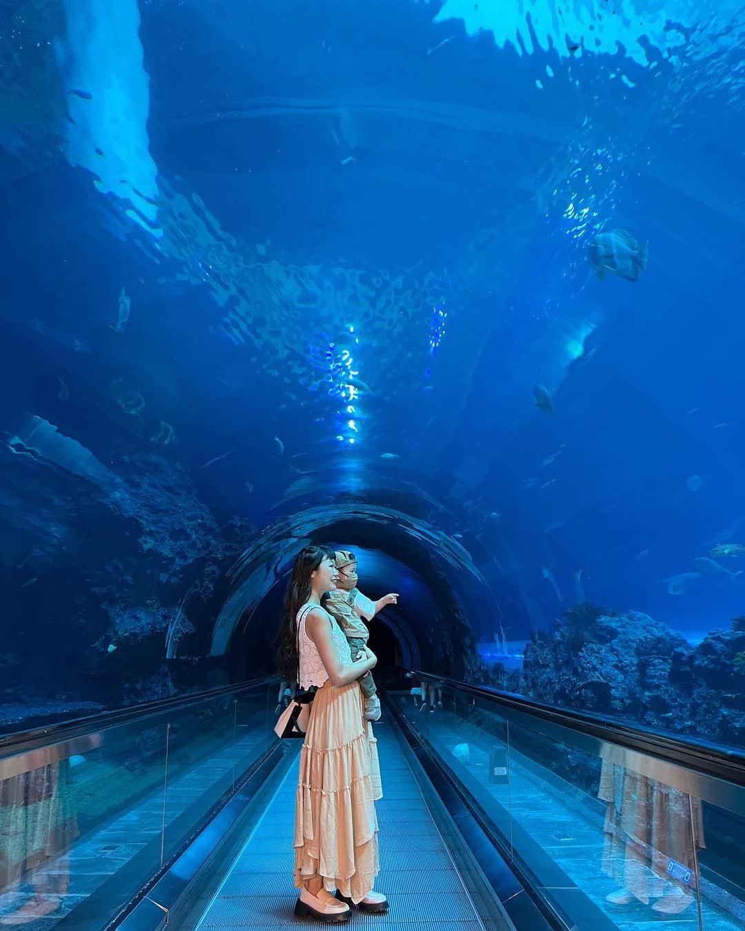 國立海洋生物博物館 | 去趣 chicTrip