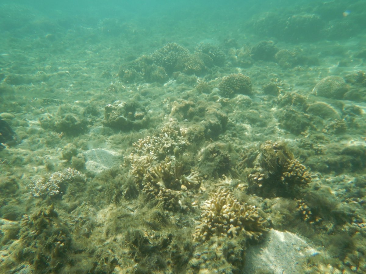 金瓜仔礁（忘憂島） | 去趣 chicTrip