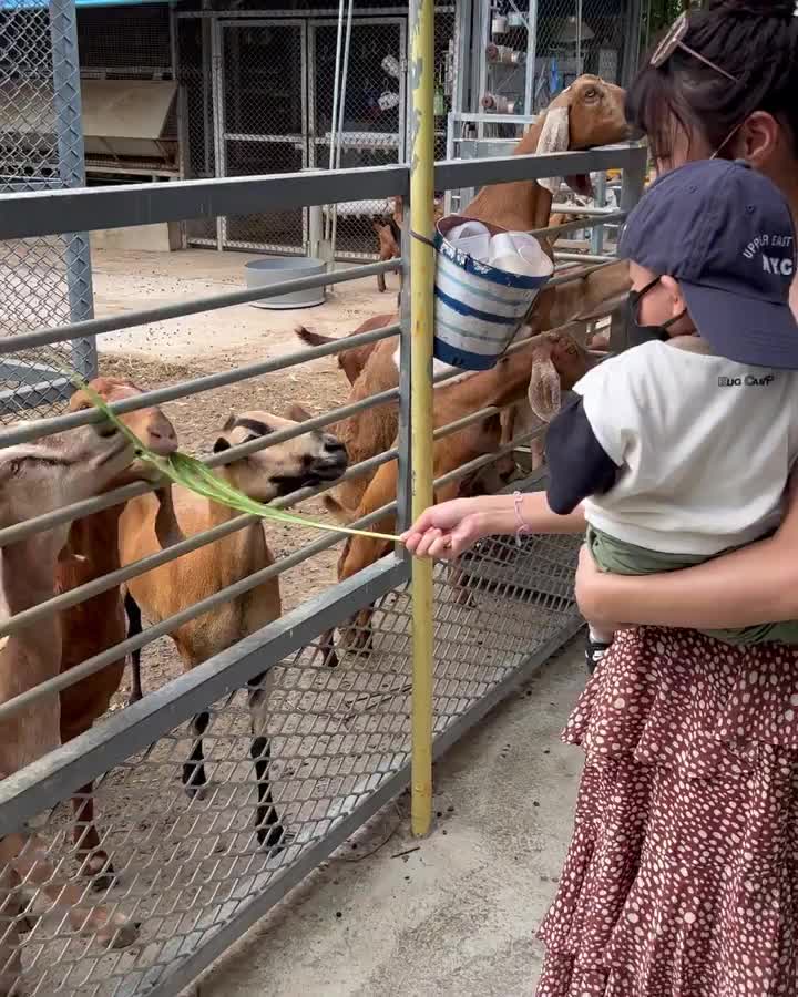 樹谷農場 | 去趣 chicTrip