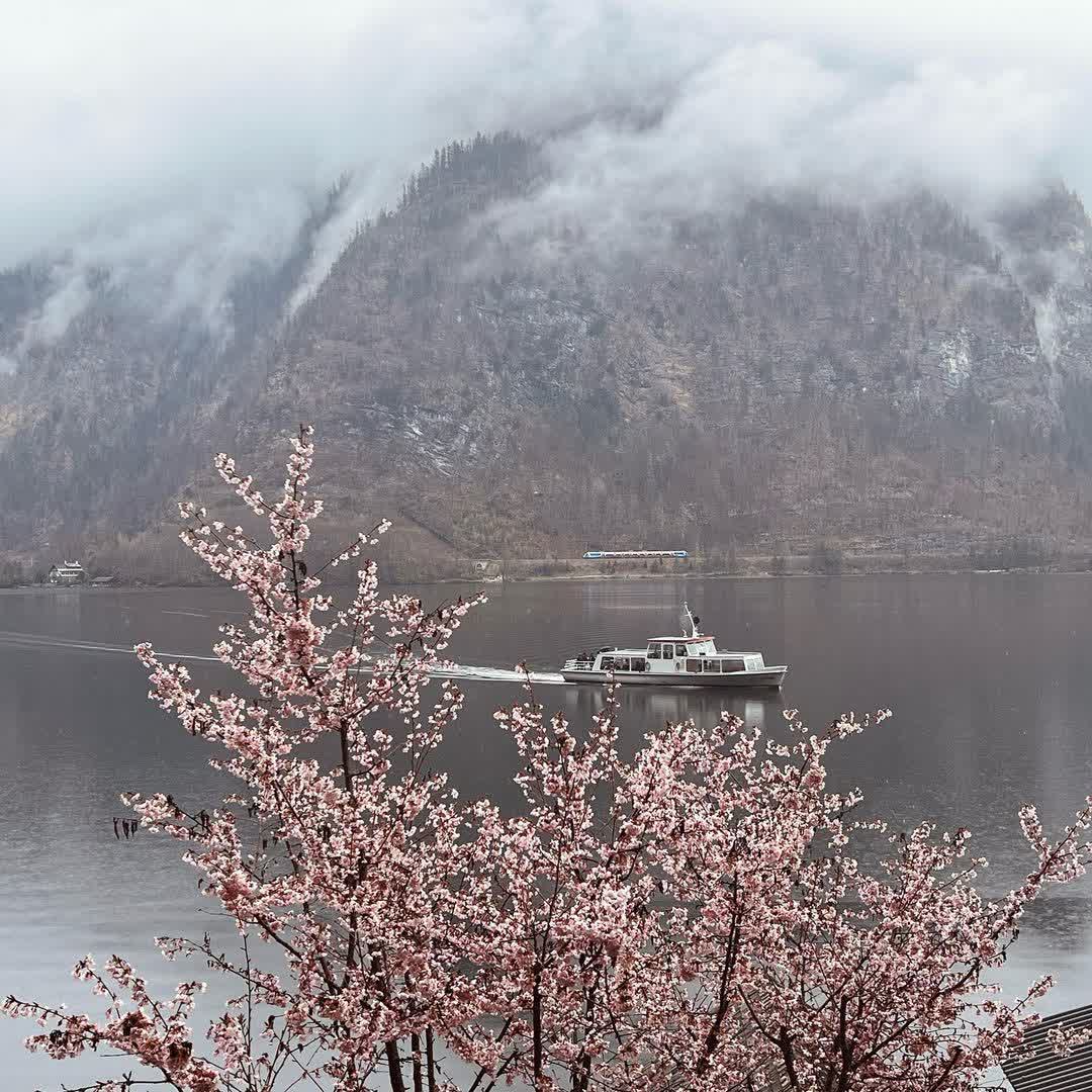 哈爾施塔特 | 去趣 chicTrip