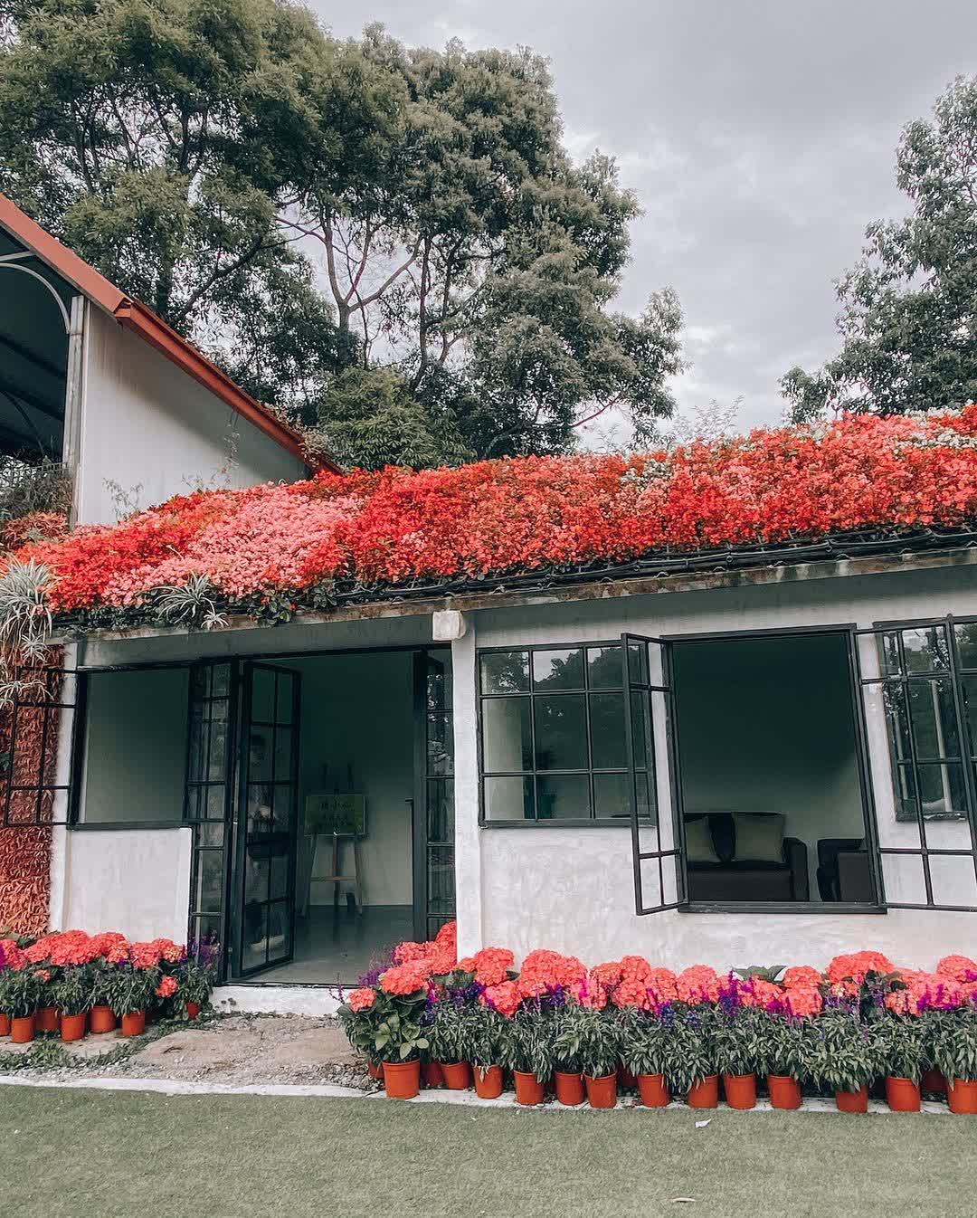 花露農場 Flower Home | 去趣 chicTrip