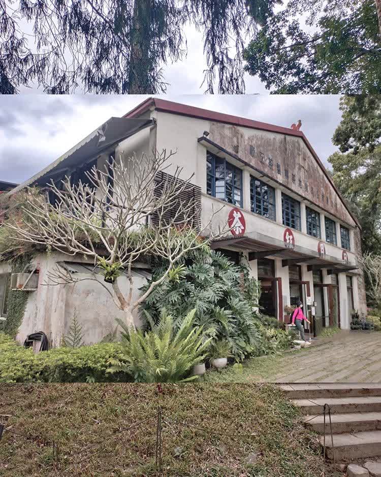 日月老茶廠 | 去趣 chicTrip