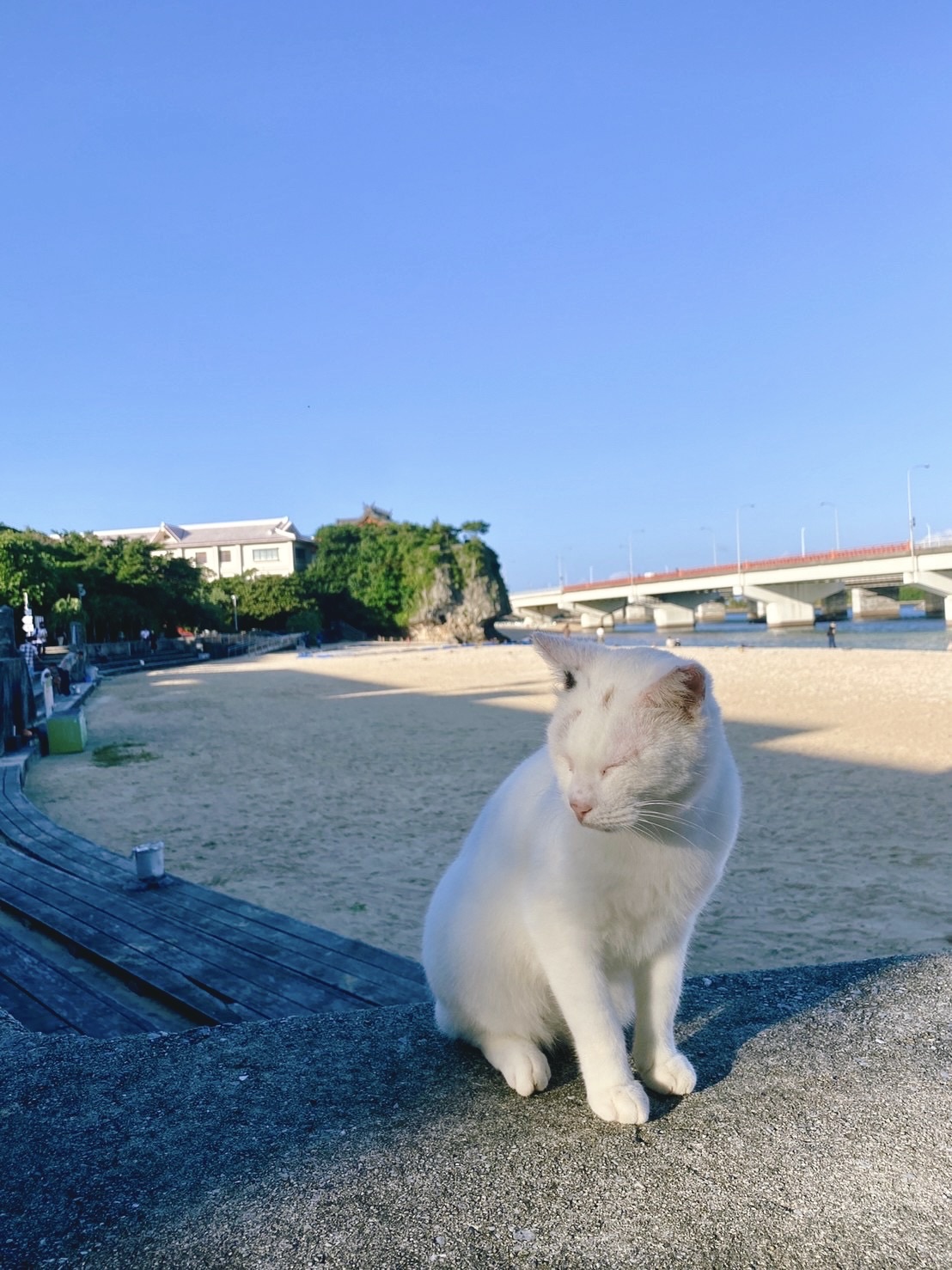 波上宮 | 去趣 chicTrip