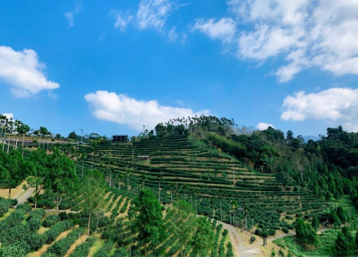 鹿篙咖啡莊園 | 去趣 chicTrip