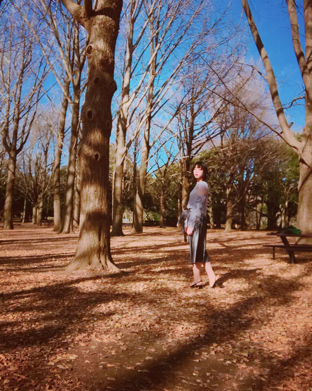 代代木公園 | 去趣 chicTrip