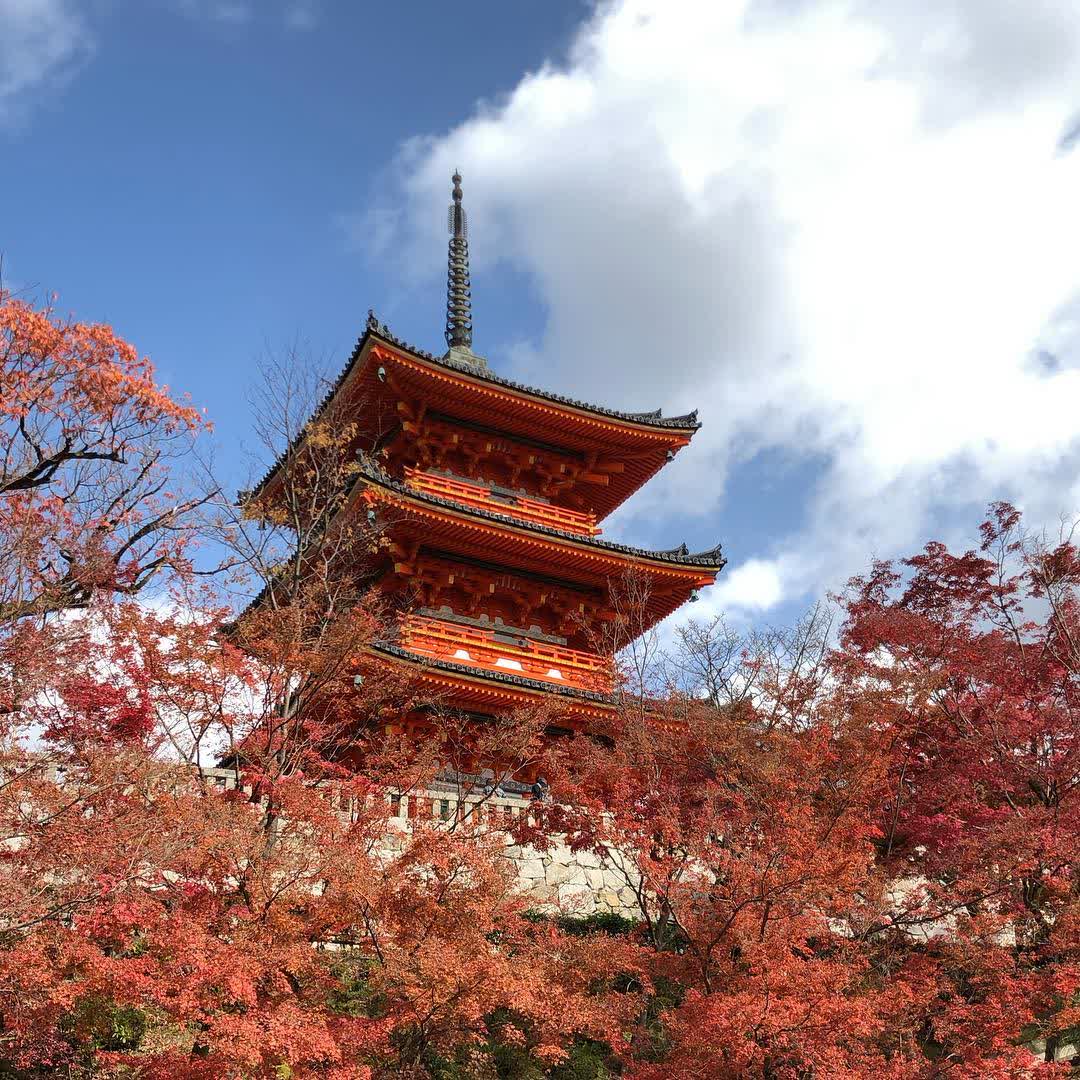 清水寺 | 去趣 chicTrip