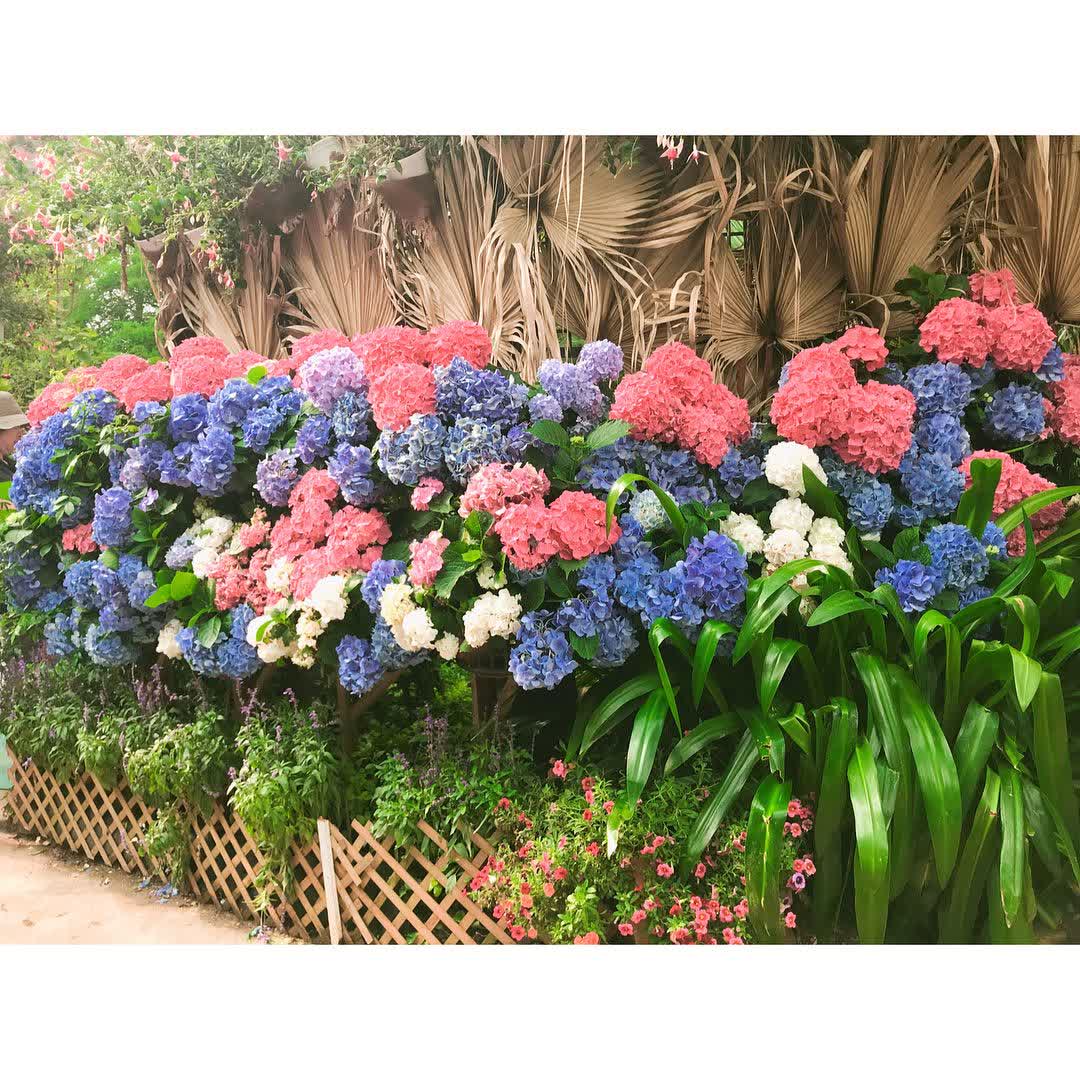 花露農場 Flower Home | 去趣 chicTrip