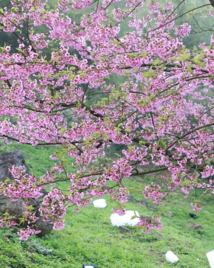 無極天元宮 | 去趣 chicTrip