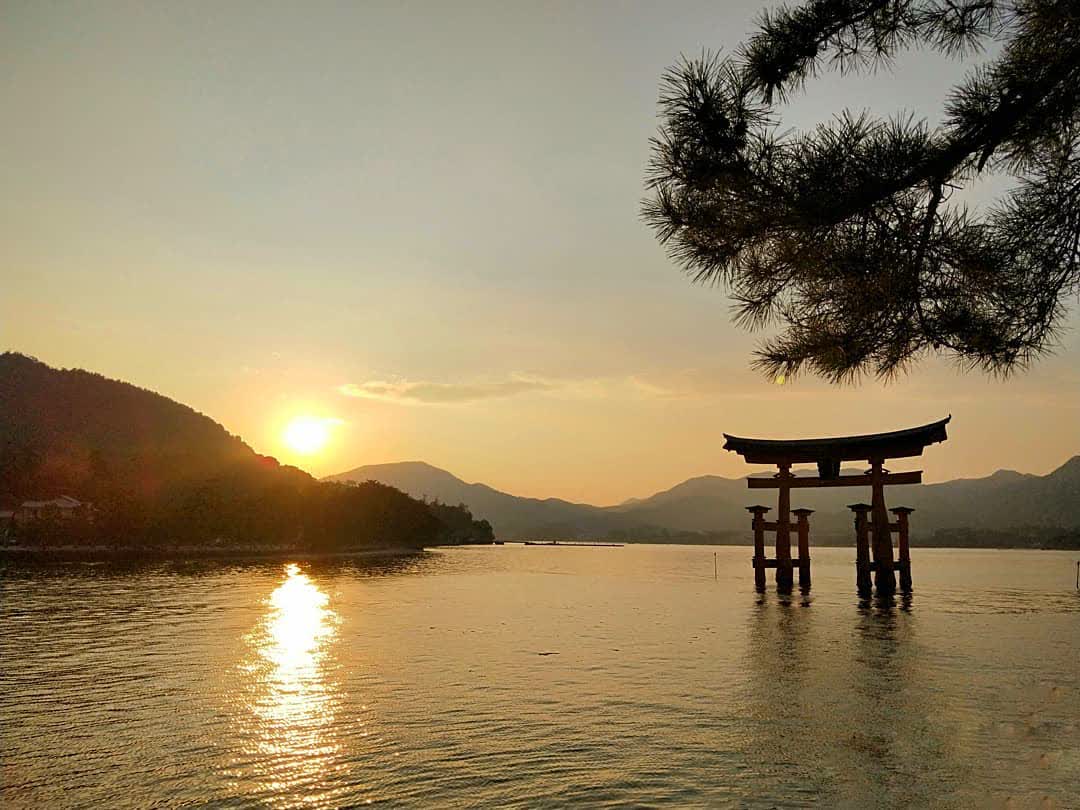 嚴島神社 | 去趣 chicTrip