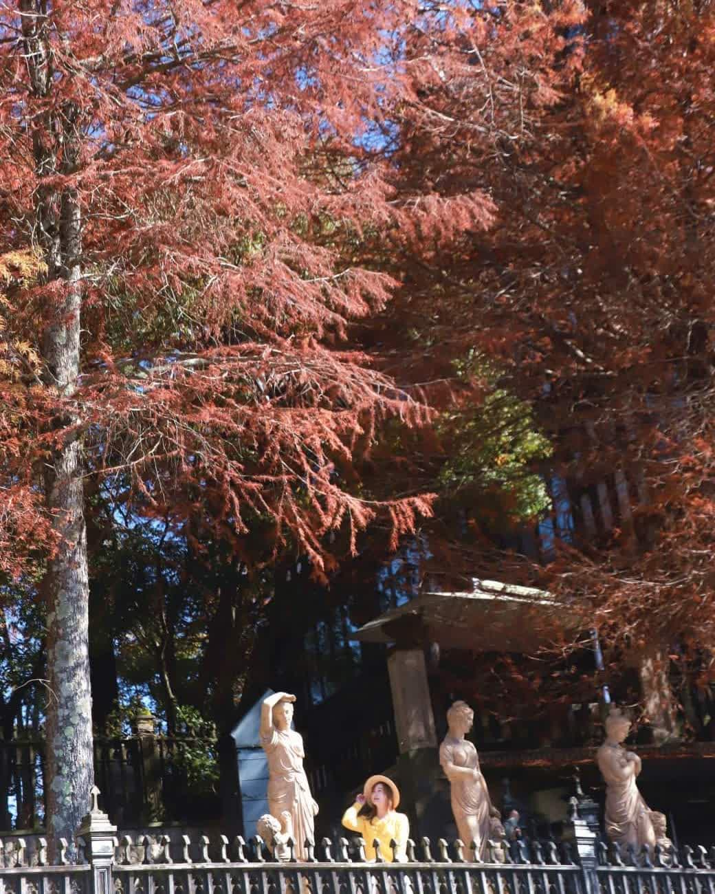 清境老英格蘭莊園民宿｜清境農場｜清境住宿推薦 | 去趣 chicTrip