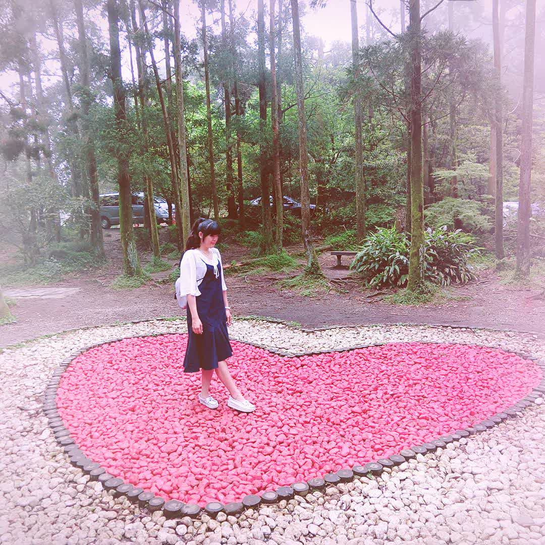 竹子湖 | 去趣 chicTrip