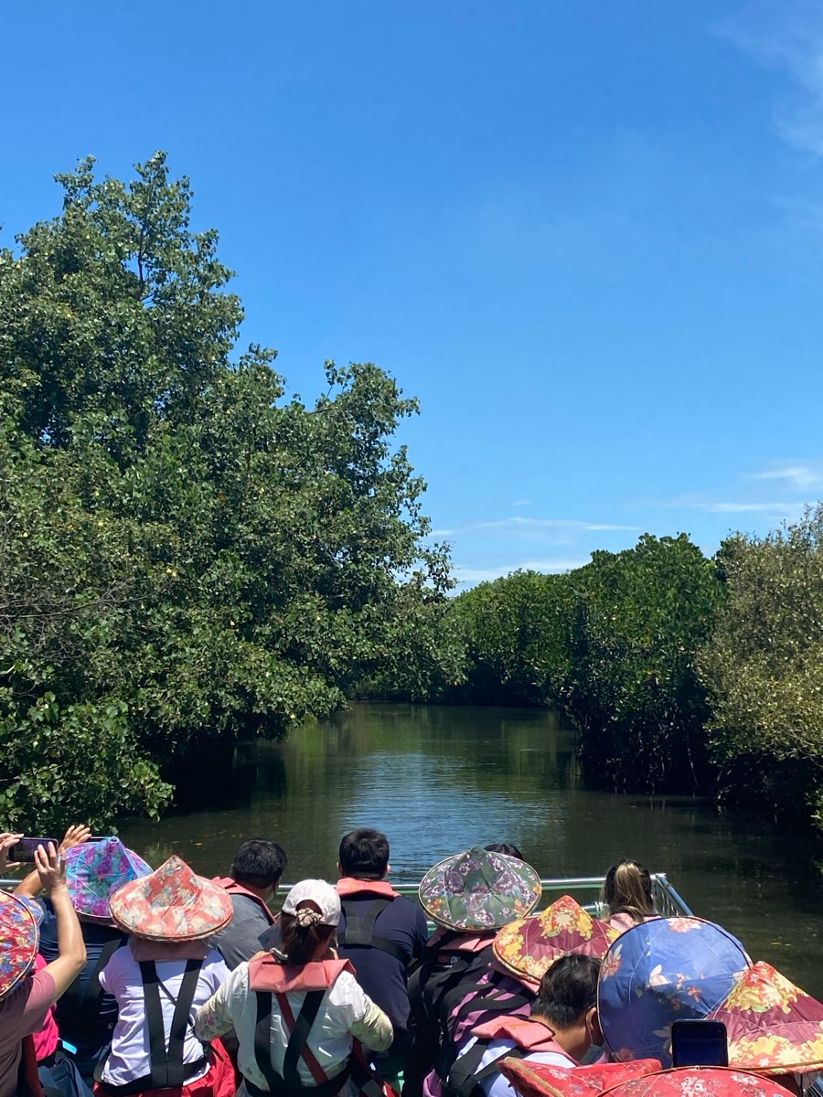 四草綠色隧道 | 去趣 chicTrip