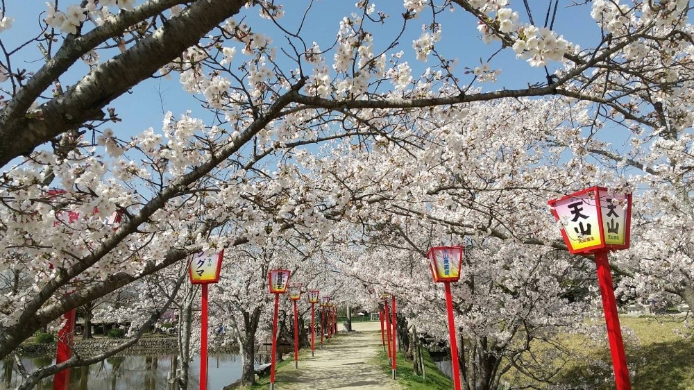 小城公園 | 去趣 chicTrip