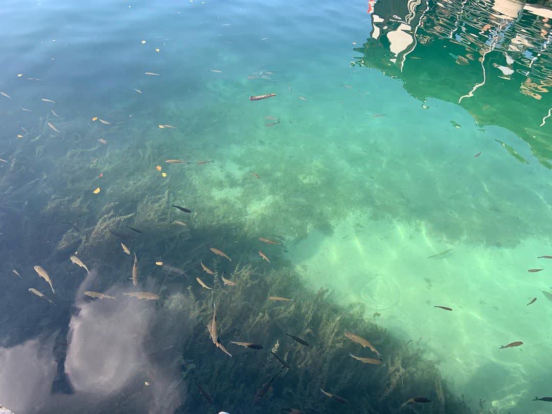 普利特維採湖群國家公園 | 去趣 chicTrip