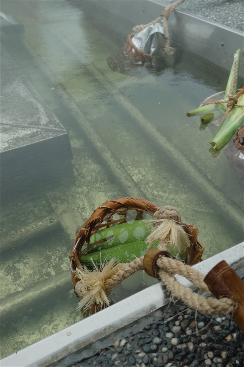 清水地熱公園 | 去趣 chicTrip