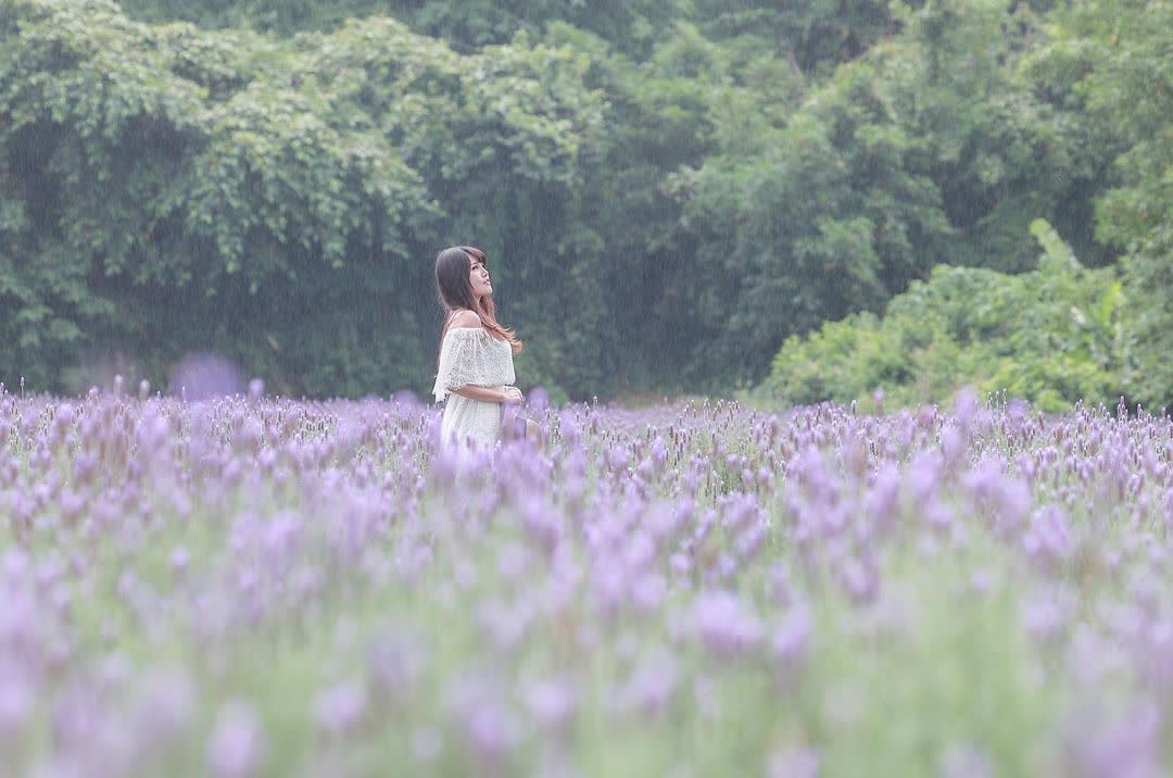 葛瑞絲香草田 | 去趣 chicTrip
