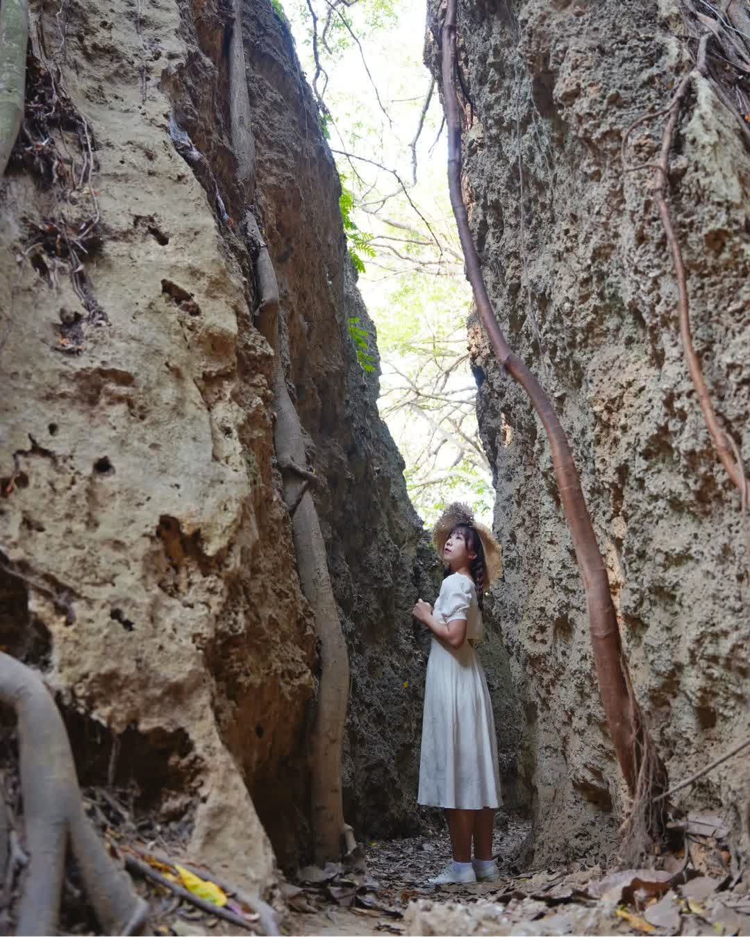 山豬溝生態步道 | 去趣 chicTrip