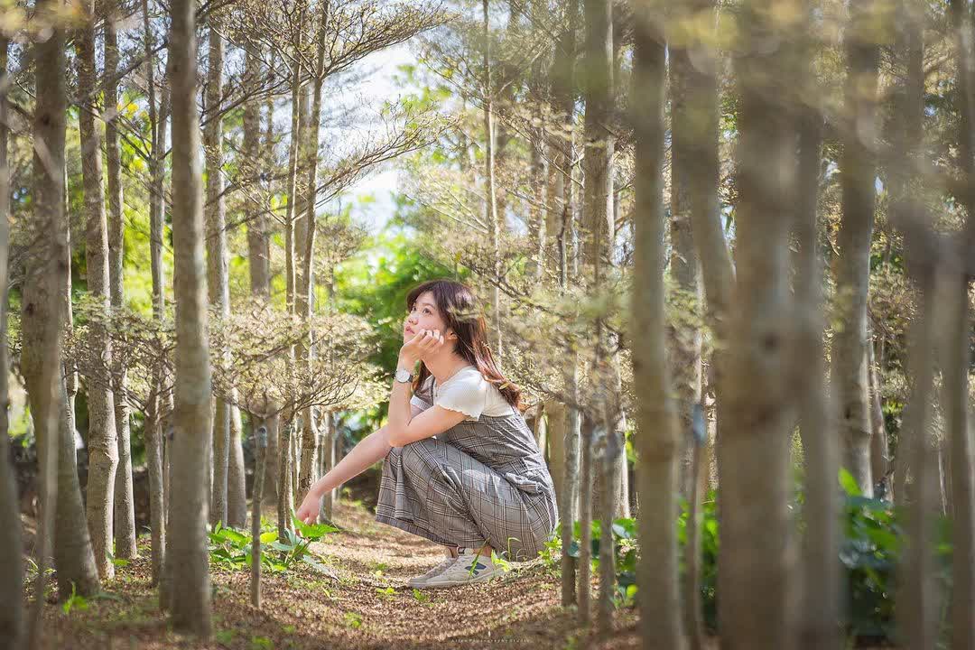田尾公路花園 | 去趣 chicTrip