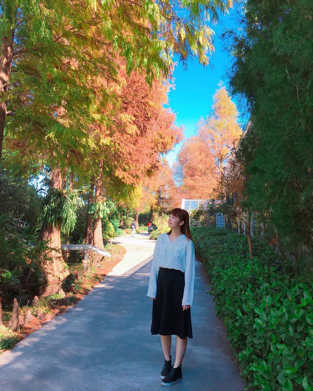 菁芳園 落羽松景觀餐廳 | 去趣 chicTrip