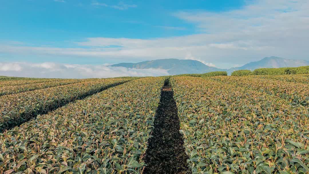 一三一四觀景台 | 去趣 chicTrip