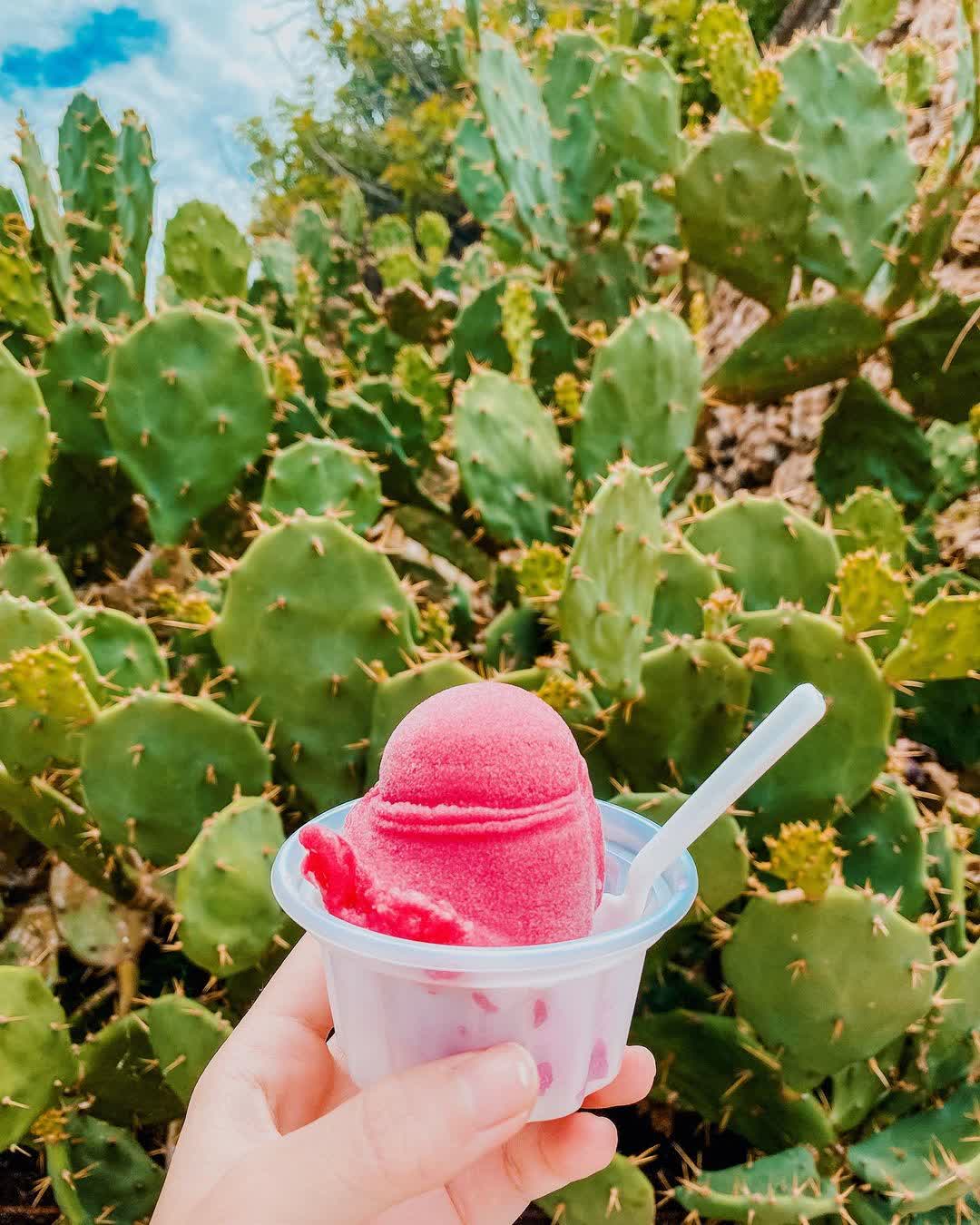 江巷仔內仙人掌冰 | 去趣 chicTrip