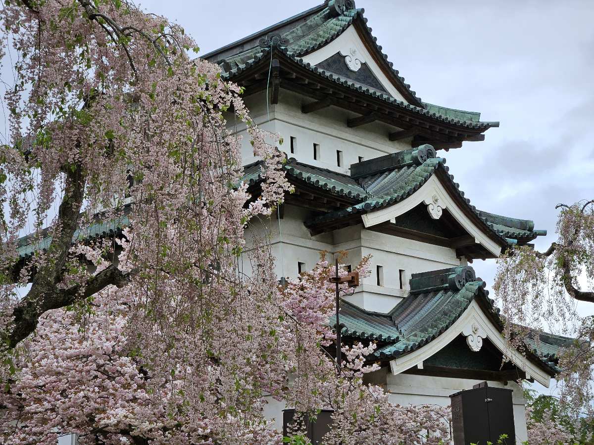 弘前城 | 去趣 chicTrip