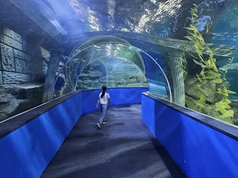 大田世博水族館 (Daejeon Expo Aquarium) | 去趣 chicTrip