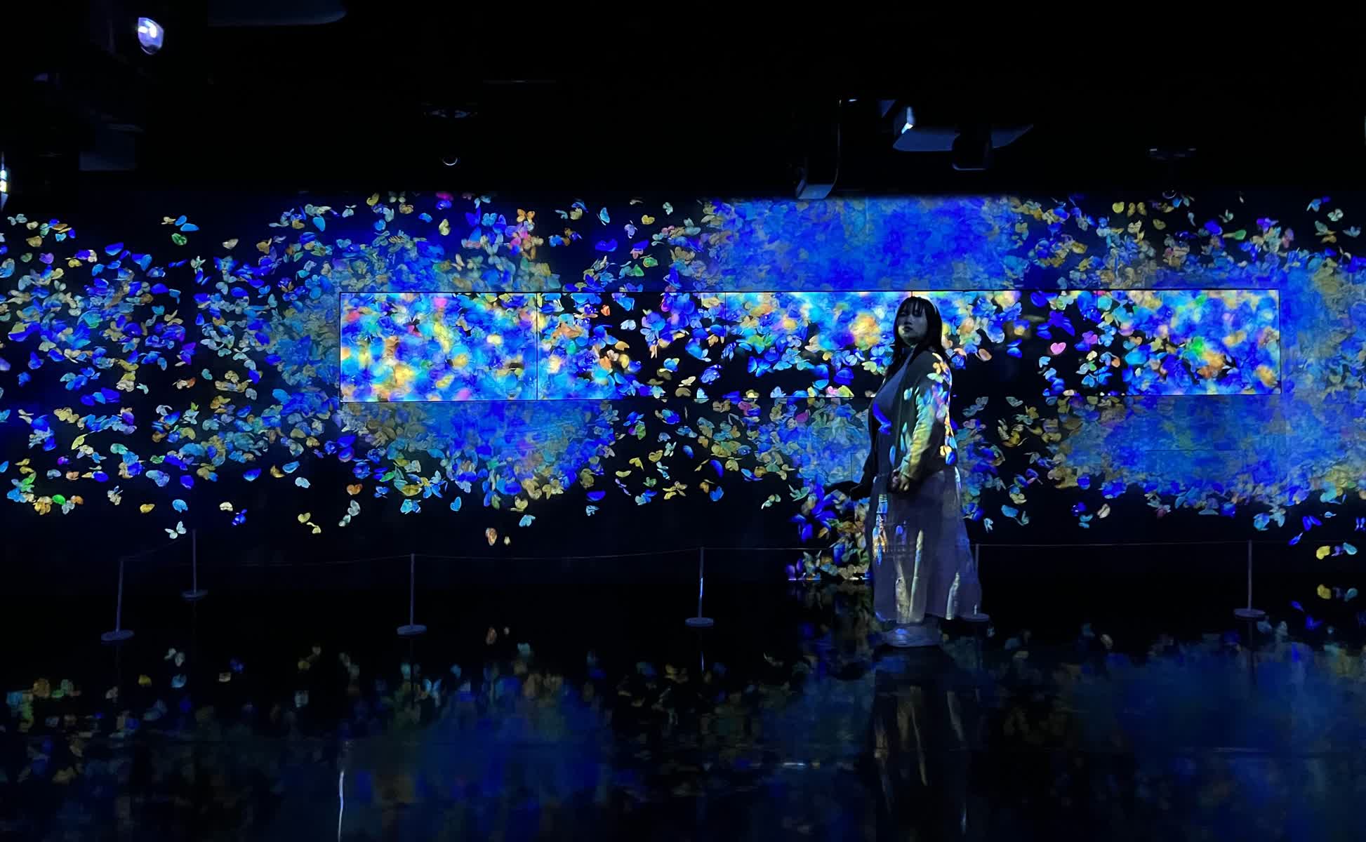 teamLab Borderless 數位藝術美術館 | 去趣 chicTrip
