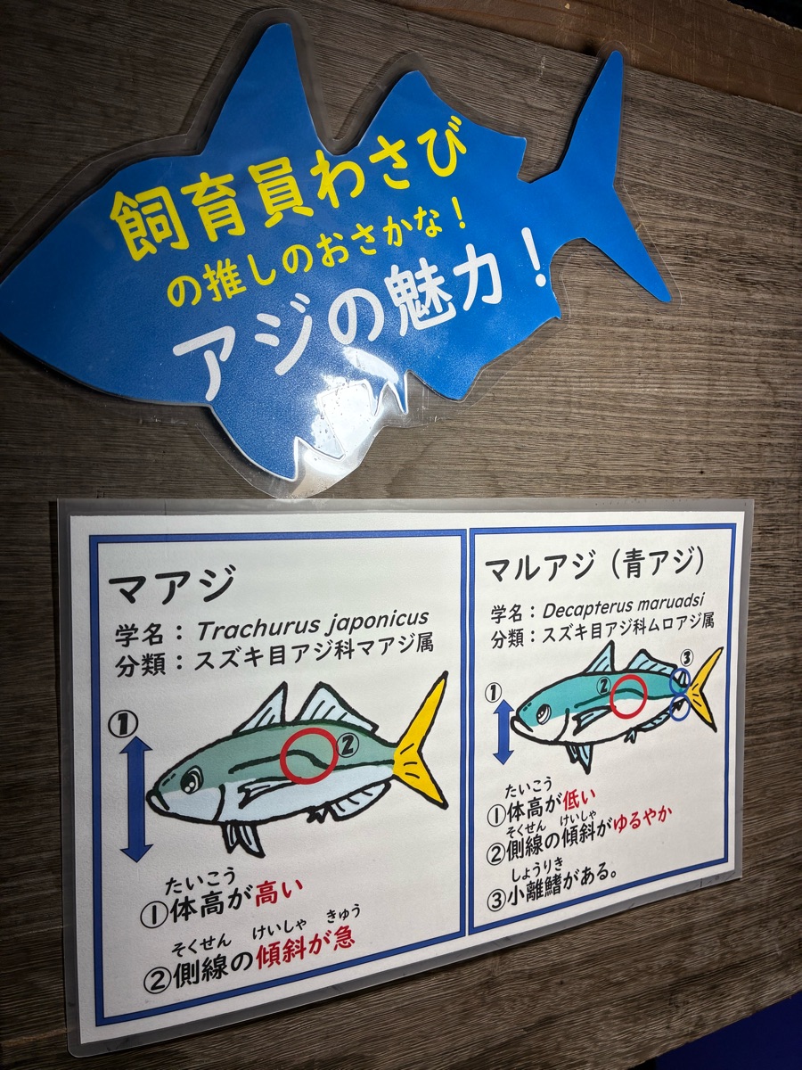 伊勢海洋樂園 | 去趣 chicTrip