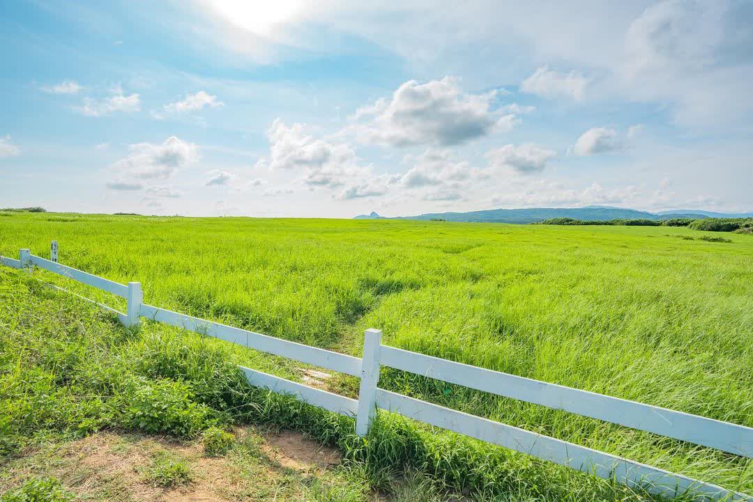 龍磐公園 | 去趣 chicTrip