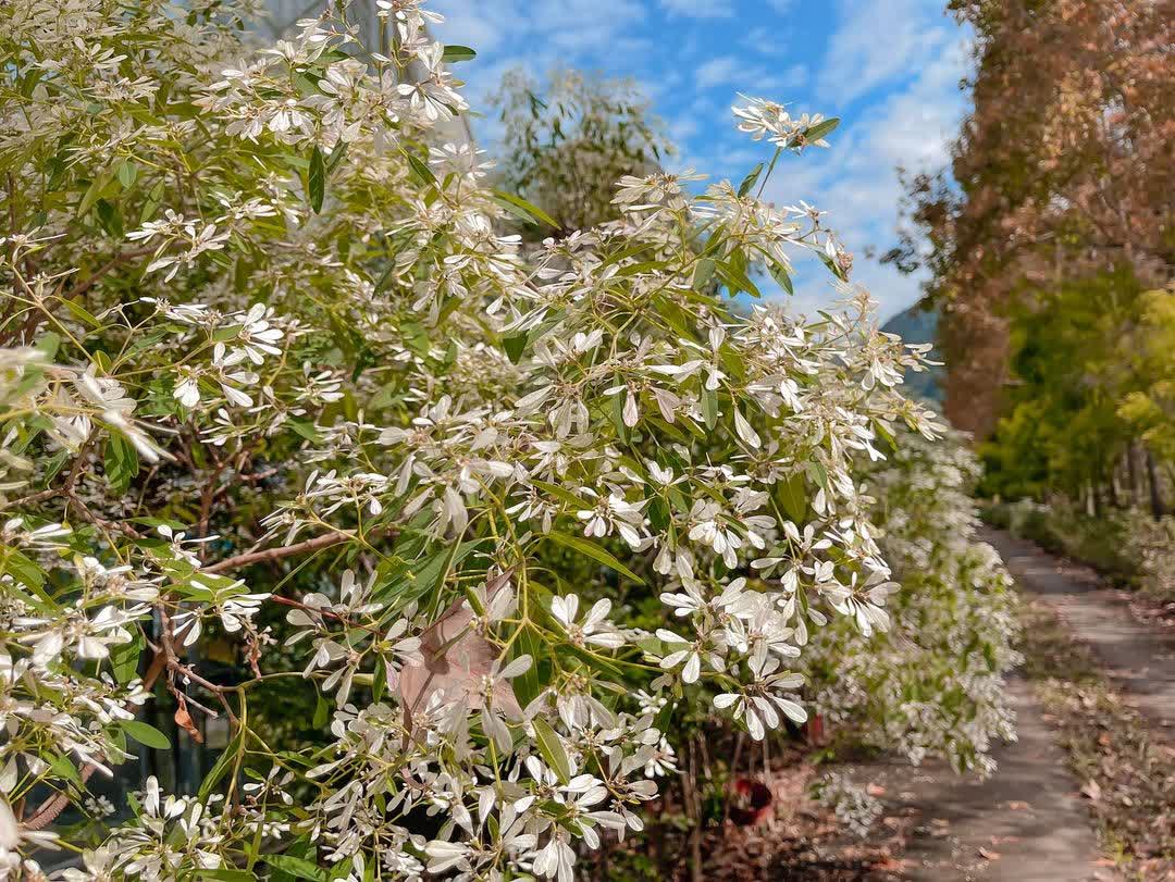 台一生態休閒農場(楓樺台一渡假村) | 去趣 chicTrip
