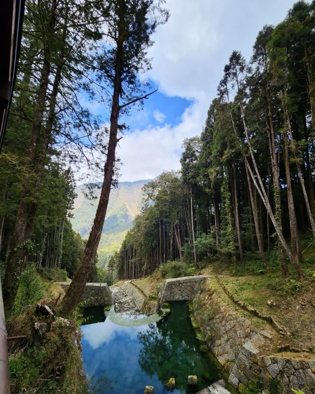 阿里山國家森林遊樂區 | 去趣 chicTrip