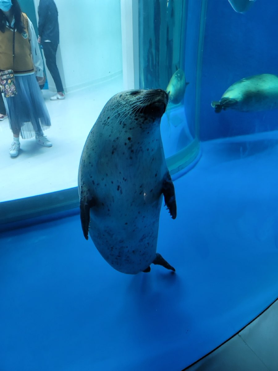 Xpark 水族館 | 去趣 chicTrip