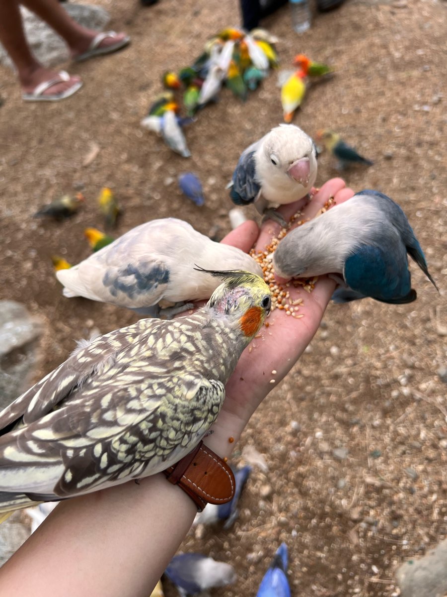 PUGAD Pugo Adventure | 去趣 chicTrip