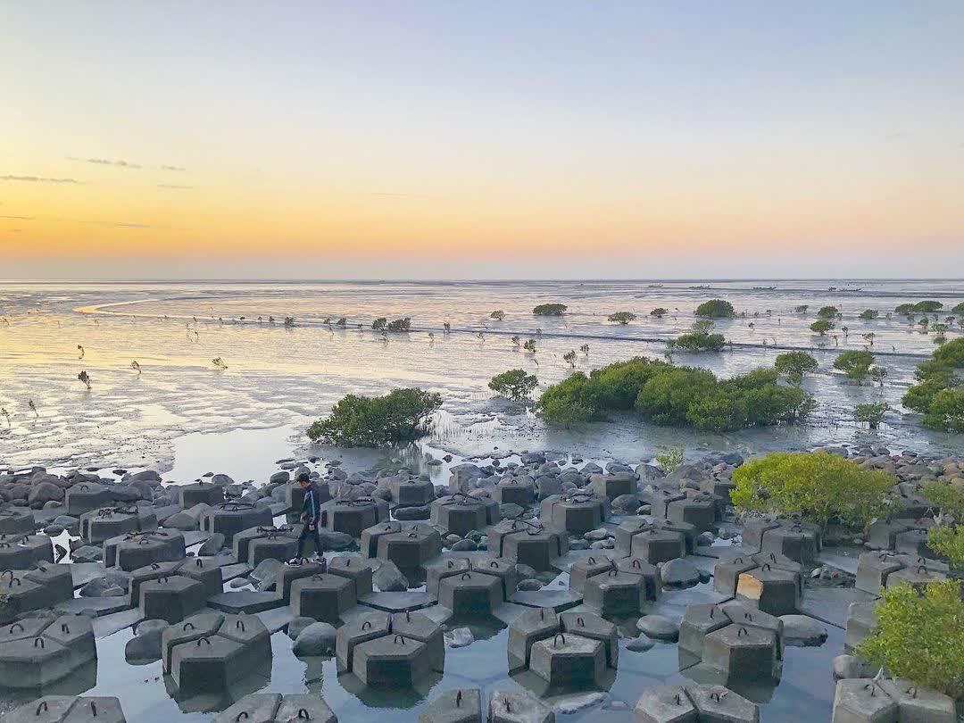 芳苑濕地紅樹林海空步道 | 去趣 chicTrip