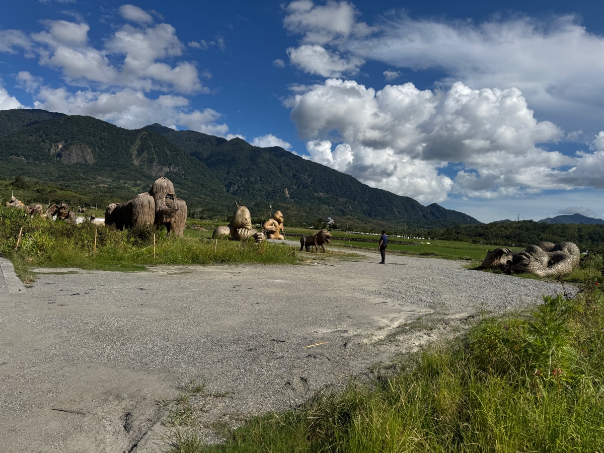 富里花海景觀區  (花蓮縣富里鄉農會旁) | 去趣 chicTrip
