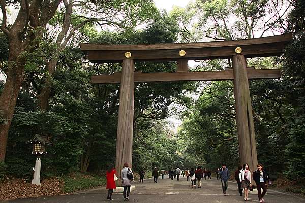 明治神宮 | 去趣 chicTrip