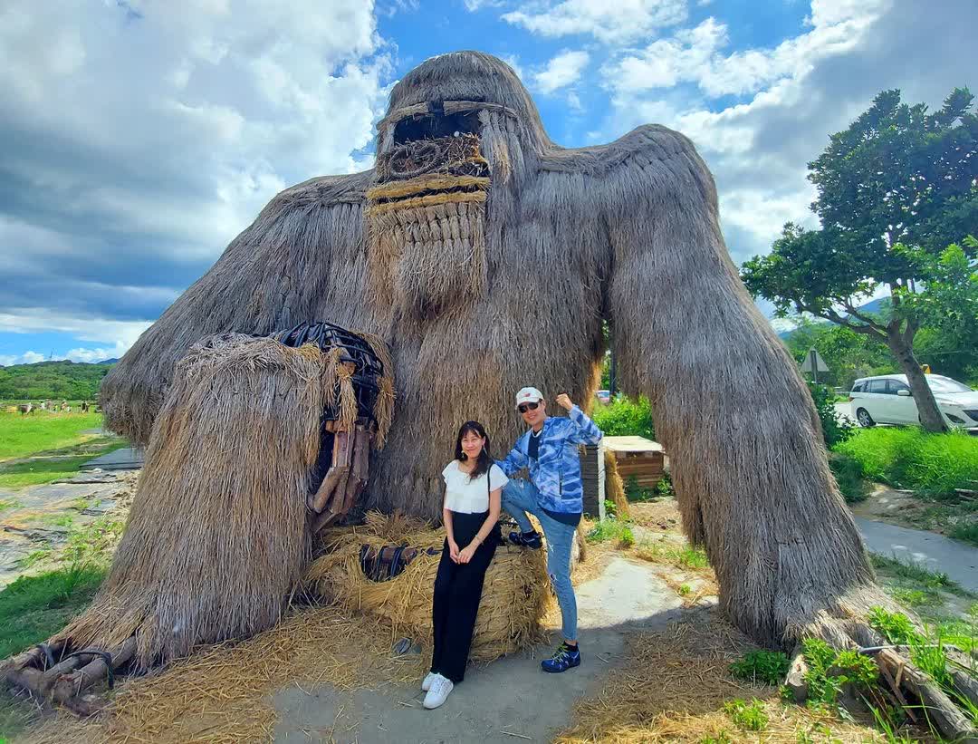 富里花海景觀區  (花蓮縣富里鄉農會旁) | 去趣 chicTrip