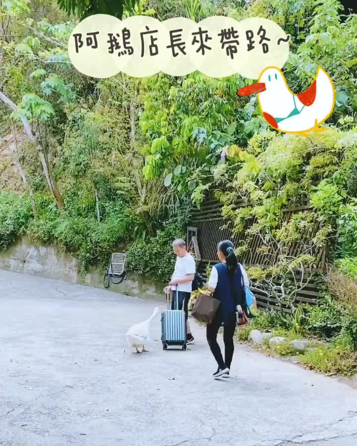 湖畔花時間-苗栗大湖|溫泉|美食|熱門民宿|包棟|美人湯 | 去趣 chicTrip