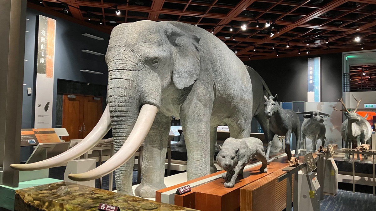 國立臺灣史前文化博物館 National Museum of Prehistory | 去趣 chicTrip