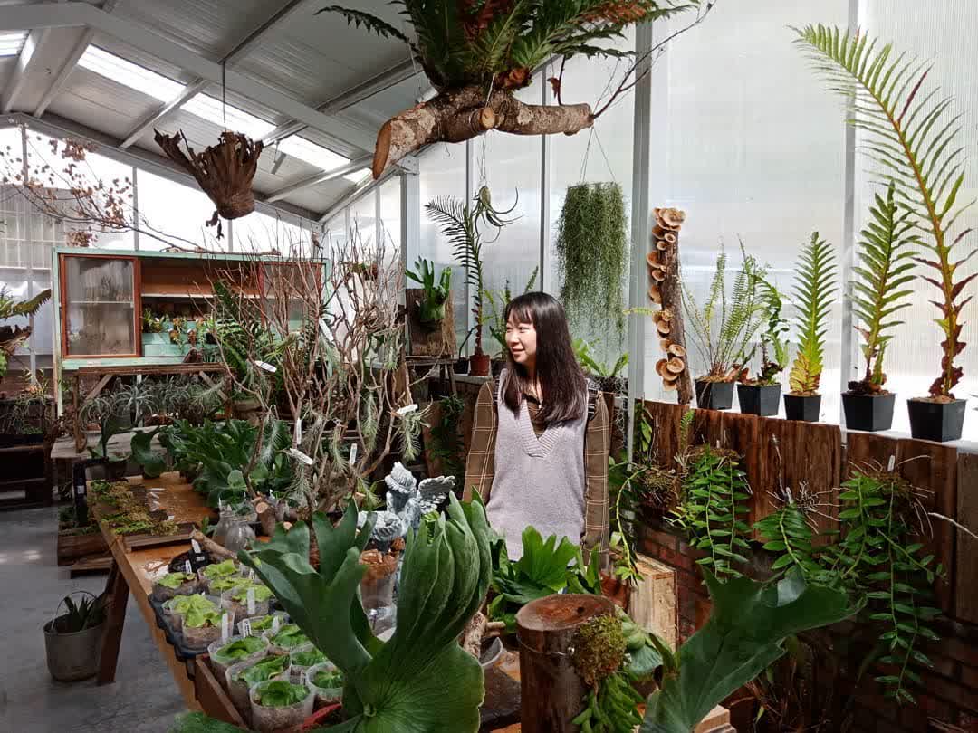 空氣圖書館 AIR LIBRARY | 去趣 chicTrip