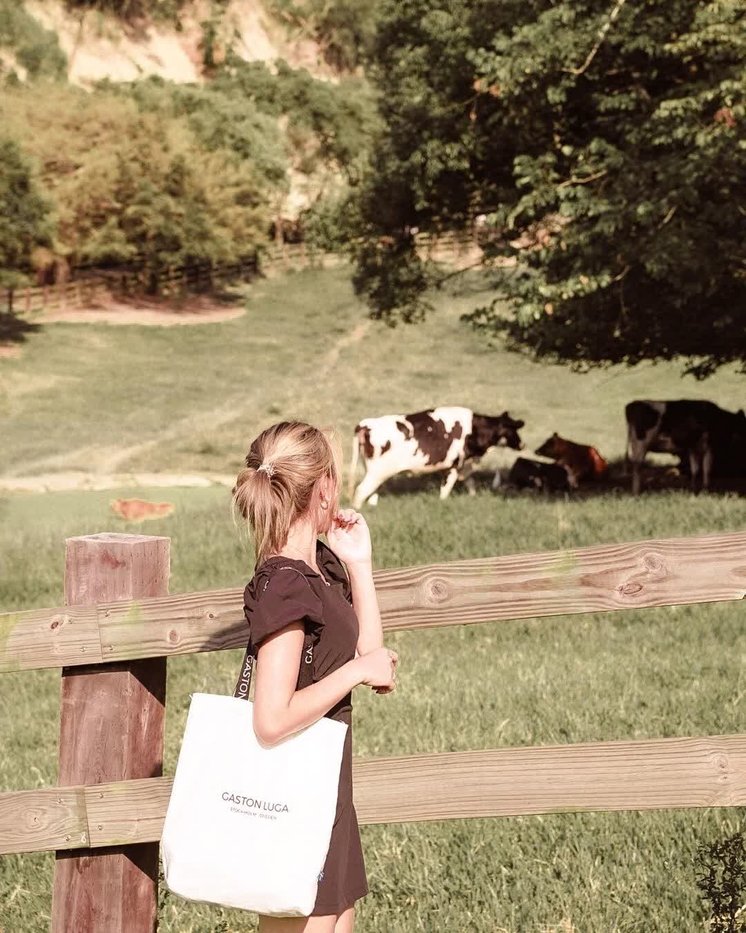 飛牛牧場 | 去趣 chicTrip