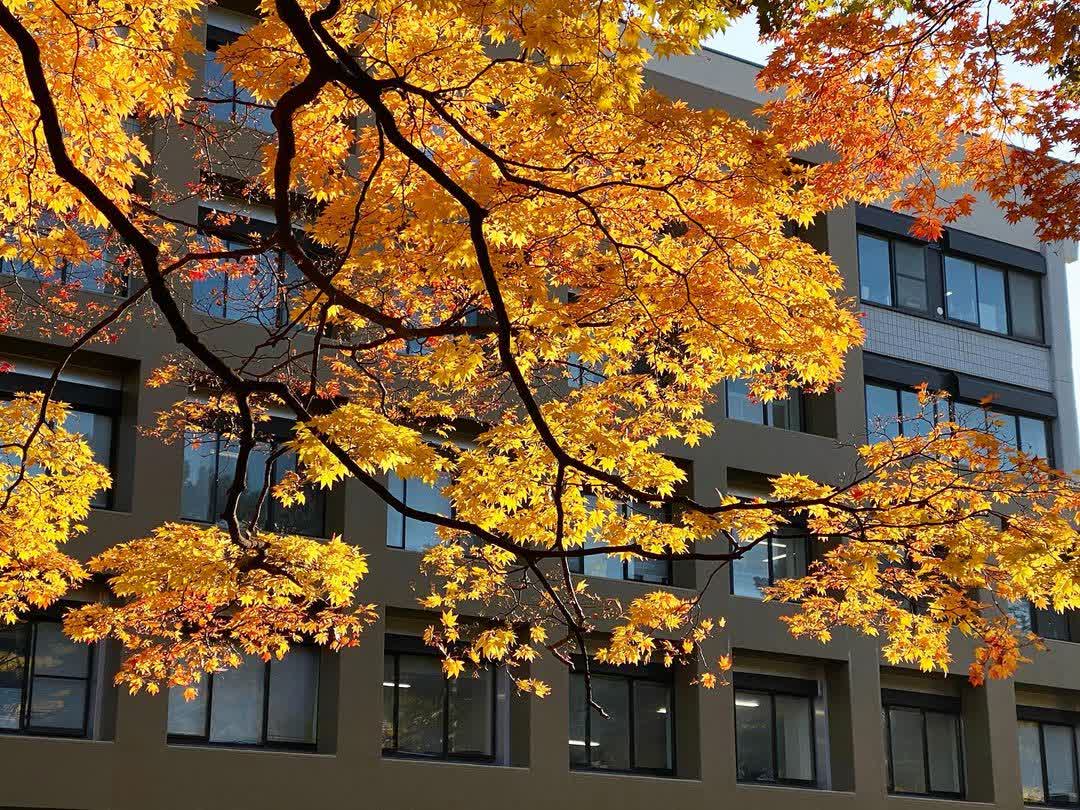 北海道大學 | 去趣 chicTrip