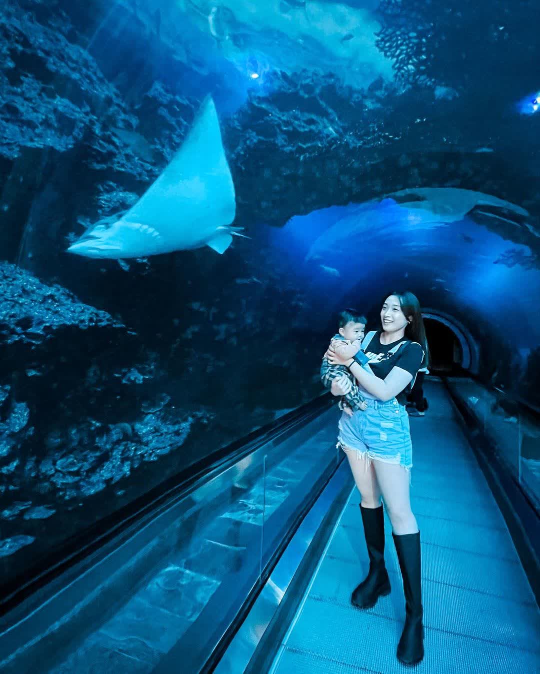 國立海洋生物博物館 | 去趣 chicTrip