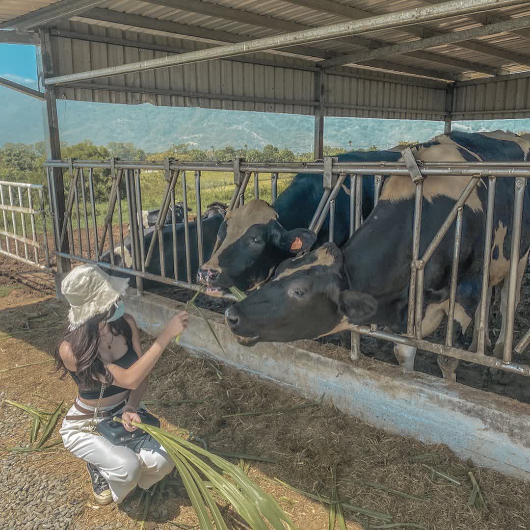 初鹿牧場 | 去趣 chicTrip