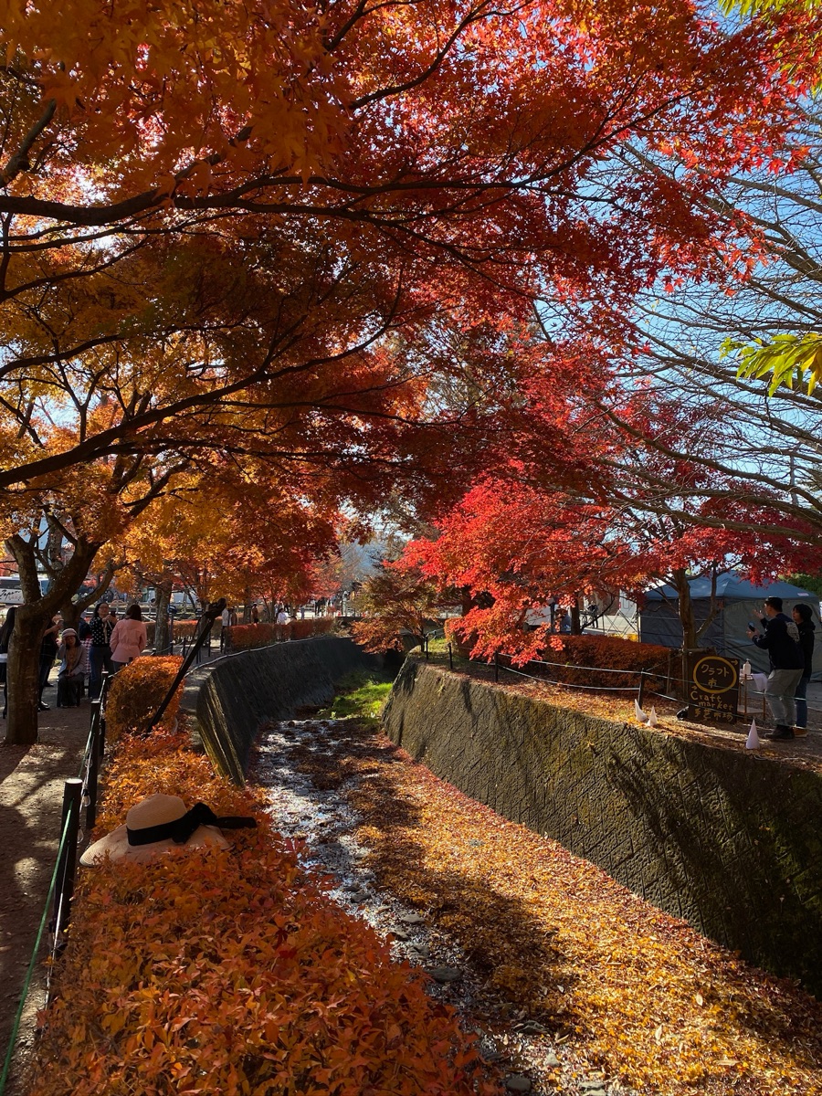 河口湖楓葉迴廊 | 去趣 chicTrip