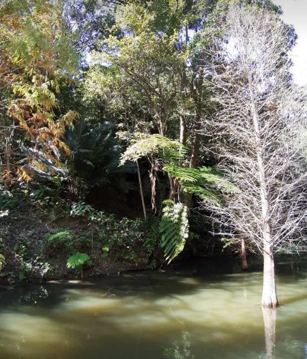 綠世界生態農場 | 去趣 chicTrip